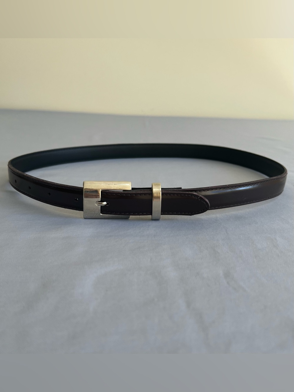 Dark Brown Belt with Silver Buckle